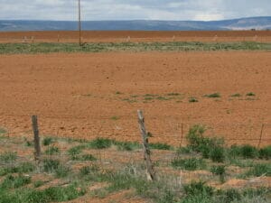 Bluff UT 08