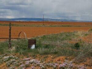 Bluff UT 16