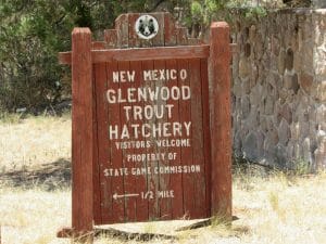 Glenwood NM 05