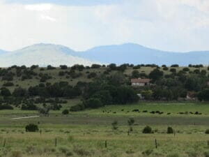 Springerville AZ 05