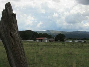 Springerville AZ 08