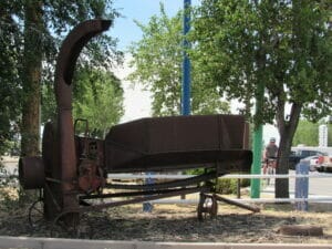 Fallon NV 11