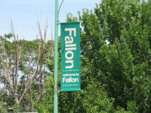 Fallon NV 14