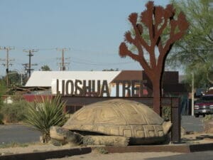 Joshua Tree CA 02