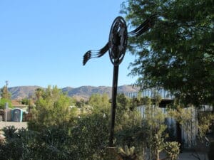 Joshua Tree CA 12