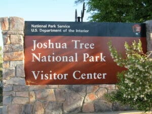 Joshua Tree CA 13