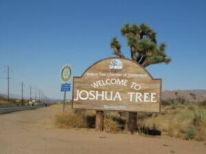 Joshua Tree CA 14