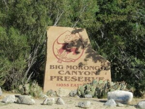 Morongo Valley CA 10