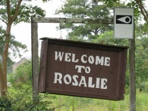 Rosalie AL 01