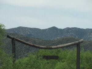 IMG_5754