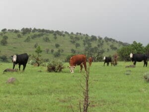 Apache County, AZ 05