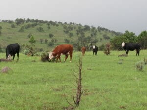Apache County, AZ 10