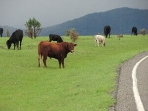 Apache County, AZ 21